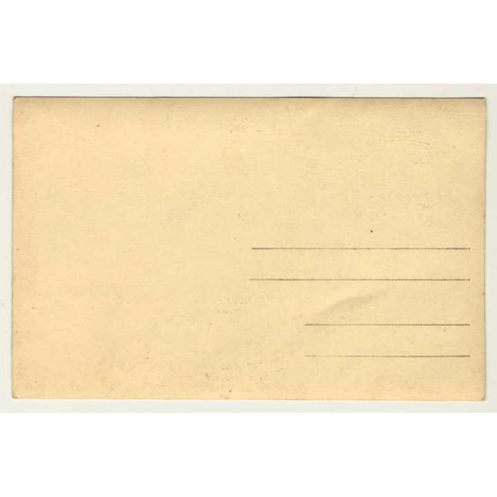 Rue de Mérode / Bruxelles: Delhaize Fres & Cie Le Lion / Cinzano (Vintage RPPC ~ 1910)