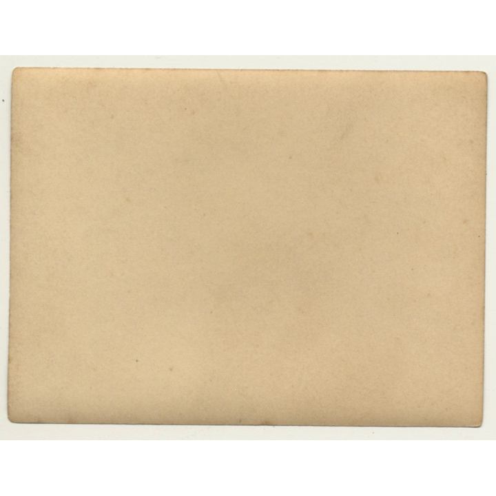 Begian School-Ship L'Avenir *6 / Tractor Loads Cargo (Vintage Photo ~ 1920s/1930s)