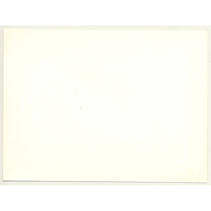 Close-Up Of Female Curlyhead / Hair - Shampoo (Vintage Advertisement Photo 1980s)