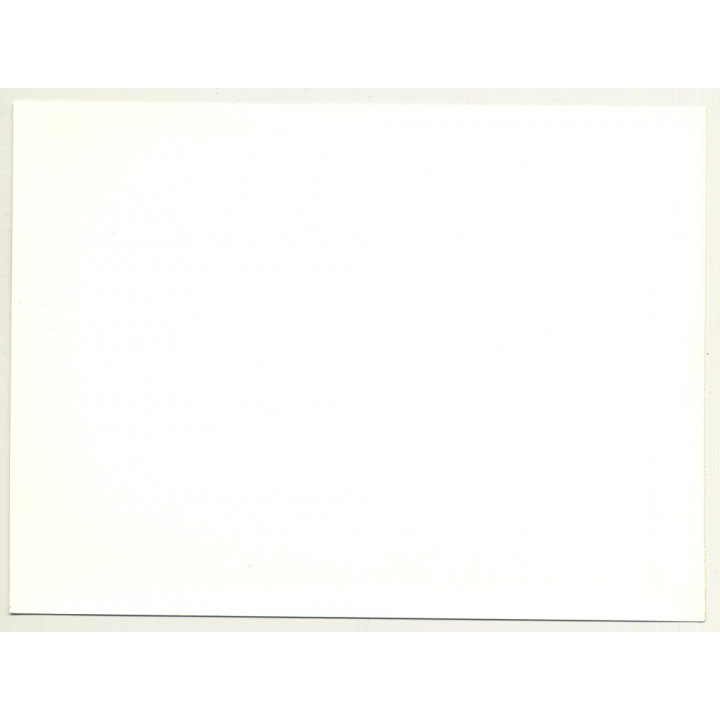 Close-Up Of Female Curlyhead *2 / Hair - Shampoo (Vintage Advertisement Photo 1980s)