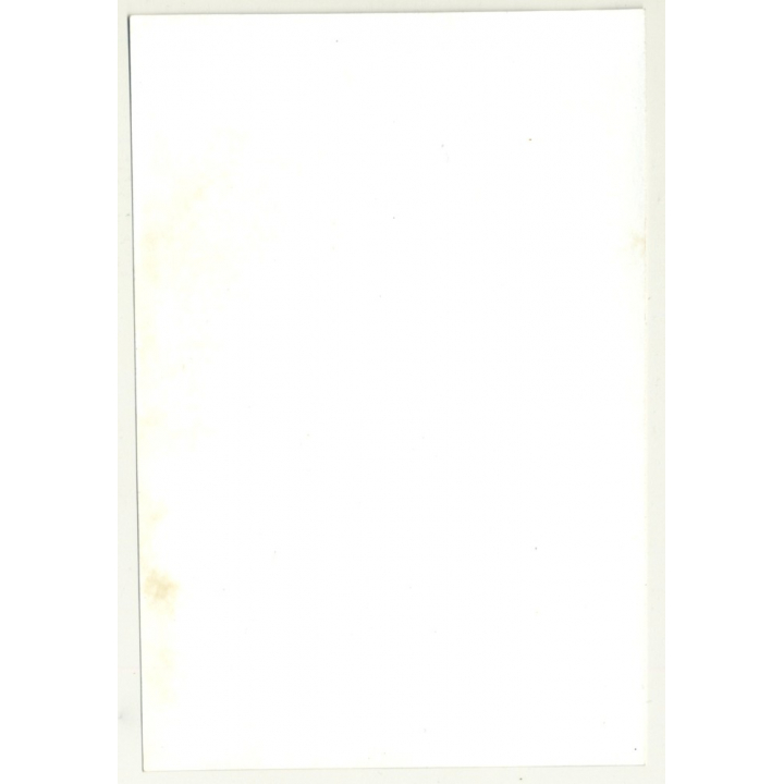 Close-Up Of Pretty Natural Brunette Woman's Face (Vintage Photo 1970s)