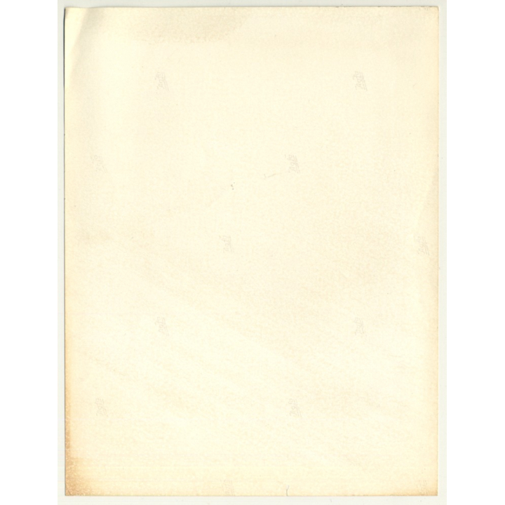 Close-Up Of Brunette Woman's Face (Vintage Fashion Photo 1980s / Wolfgang Klein)