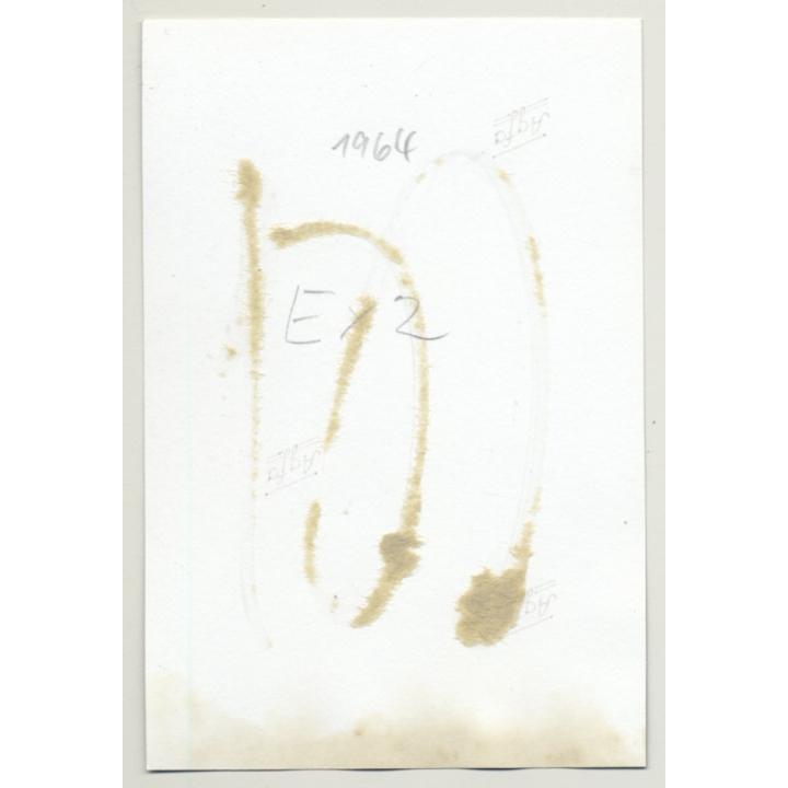 Pretty Semi Nude W. Blonde Wig / Hands Tied On Back - BDSM (Vintage Photo B/W 1964)