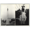 Still Life: Swan Wades Through Water (Vintage Photo 1970s)