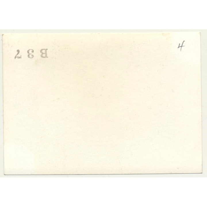 New York: Manhattan From Hudson River / Skyscrapers (Vintage Photo B/W ~ 1960s)