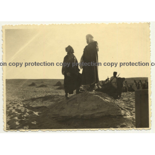 Maghreb: Tuareg Chiefs & Armed Tribe / Camels (Vintage Photo ~1940s/1950s)