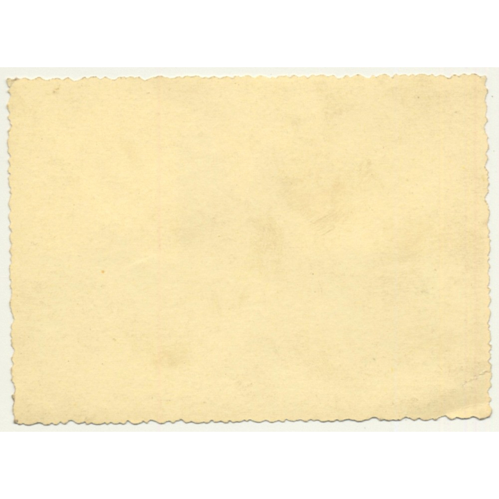 Maghreb: Tuareg Chiefs & Armed Tribe / Camels (Vintage Photo ~1940s/1950s)