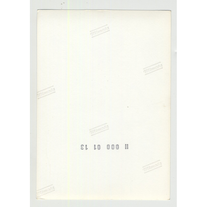 Tiny Nude Woman W. Gloves & Suspenders / 60s Interior (Vintage Amateur Photo)