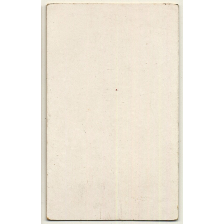 Ernest Wurth / Liège: Dreamy Young Girl / Puff Sleeves (Vintage Carte De Visite / CDV 1898)