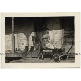 Little Boy & Baby Brother In Red Racer Cart / Alsatian(Vintage Photo ~1940s)