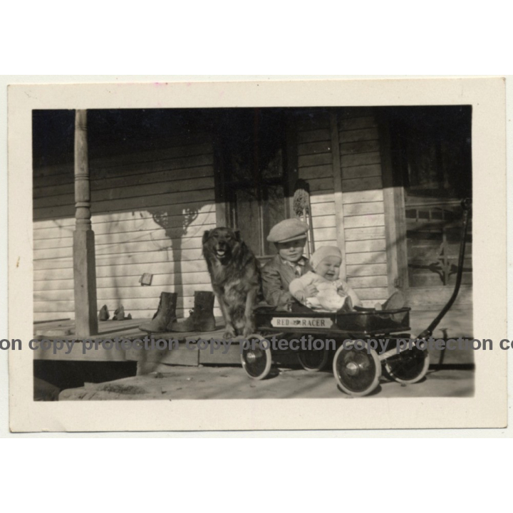 Little Boy & Baby Brother In Red Racer Cart / Alsatian(Vintage Photo ~1940s)