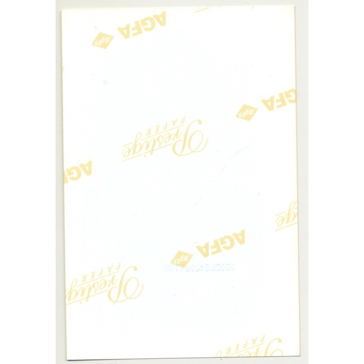 Pretty Topless Brunette Bunny / Lace Gloves (Vintage Photo Germany 1980s)