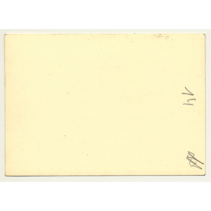 Congo Belge: Car Is Being Loaded On Ship *2 / Oldtimer (Vintage Photo ~1950s)