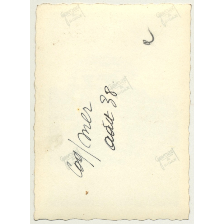 Le-Coq-Sur-Mer / De Haan: Family With Bicycles (Vintage Photo 1938)