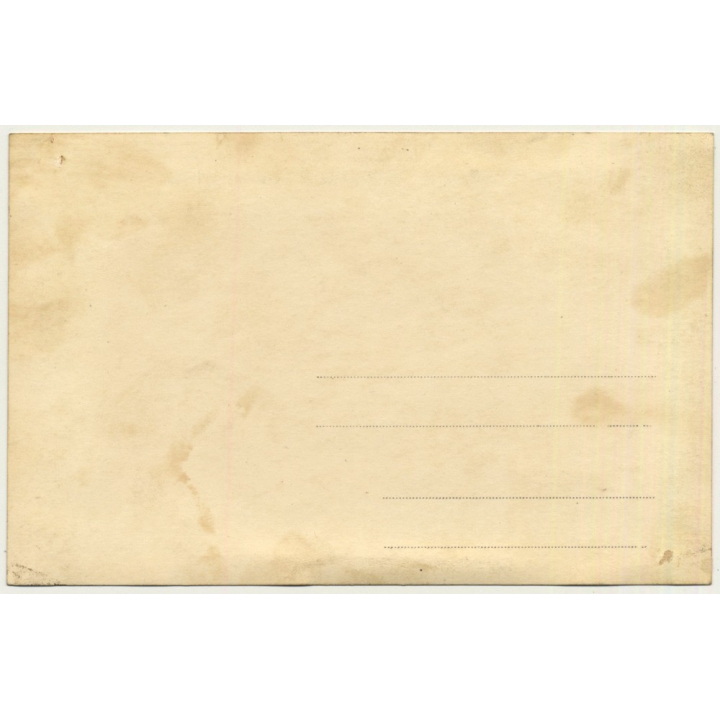 Staff Of French Hotel / Group Photo - Dog - Cooks - Maids (Vintage RPPC 1914)