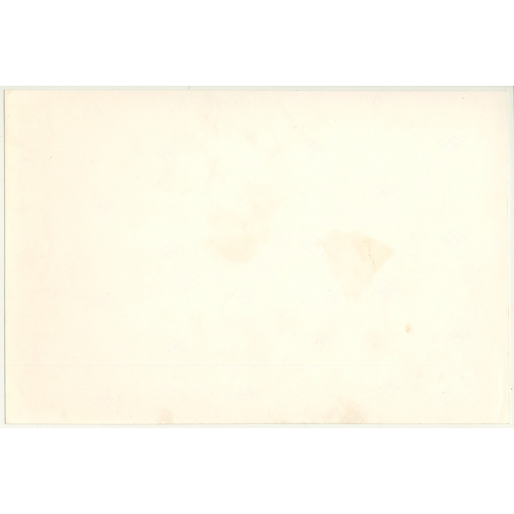 Lydia Nash / Bruxelles: Old Lady On Park Bench (Vintage Photo 1980s/1990s)