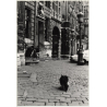 Lydia Nash / Bruxelles: Street Scene - Kids- Cat (Vintage Photo 1980s/1990s)