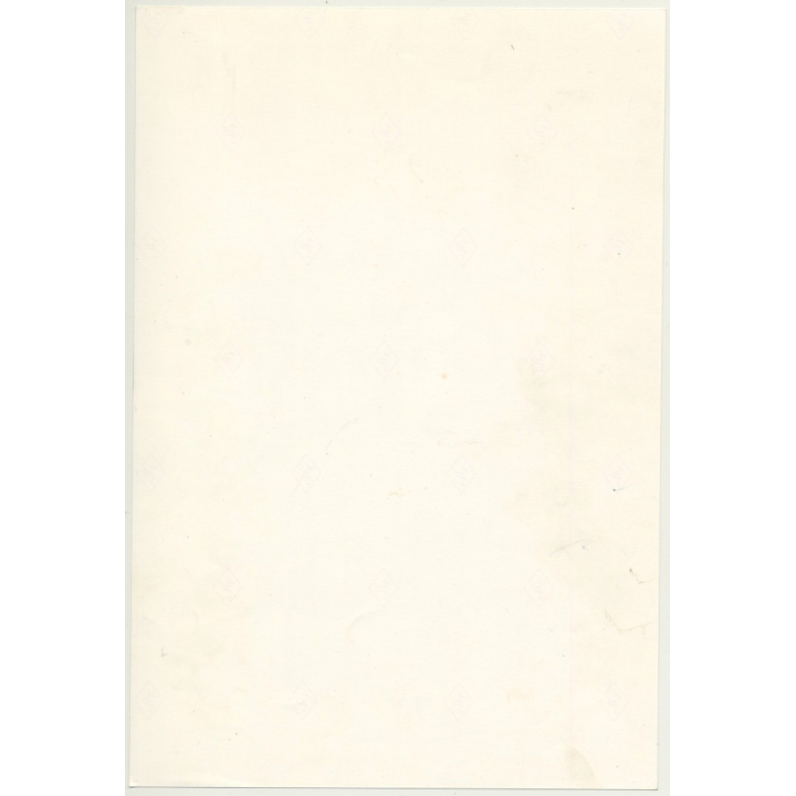 Lydia Nash / Bruxelles: Street Scene - Kids- Cat (Vintage Photo 1980s/1990s)