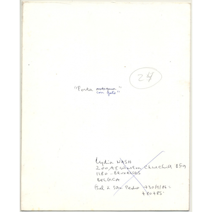 Lydia Nash / Bruxelles: Porta Con Gato (Vintage Photo B/W 1980s)