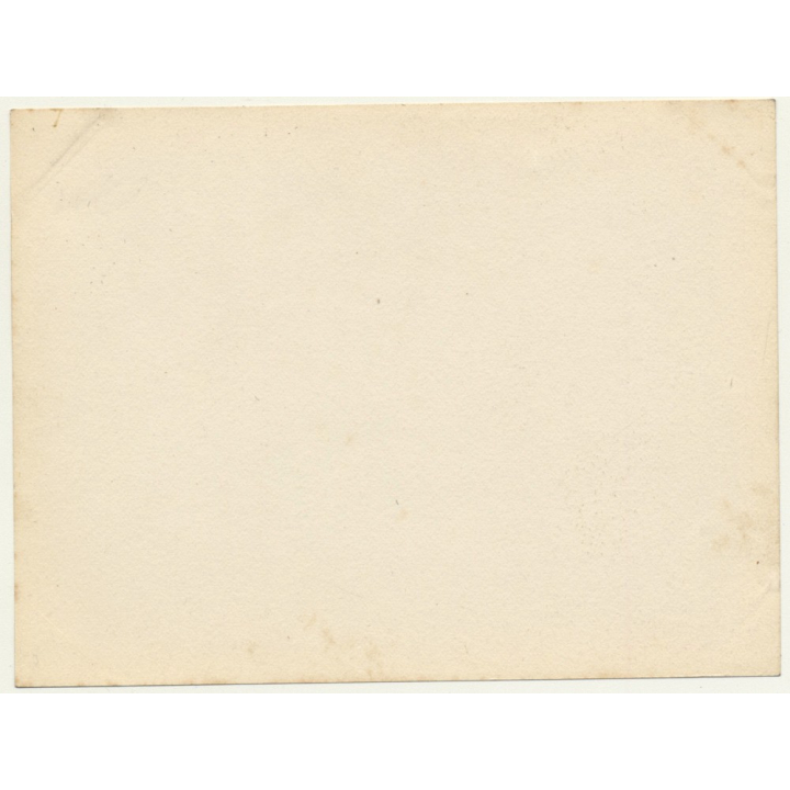 Bruxelles: Grand Place Guild Houses / Market - Police (Vintage Photo ~1900s)