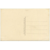 Algier / Algeria: Vue Générale Prise De L'Amirauté (Vintage RPPC ~1930s)