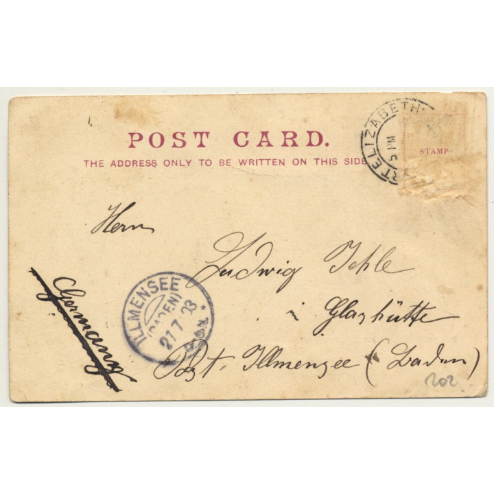 Port Elizabeth / South Africa: Main Street Looking To Town Hall (Vintage Postcard 1903)