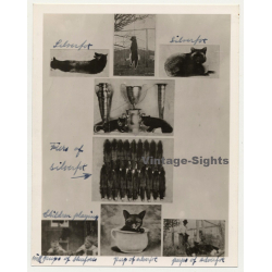Alesund / Norway: Furrier - Silverfox - Puppy (Vintage Photo Collage ~ 1930s/1940s)
