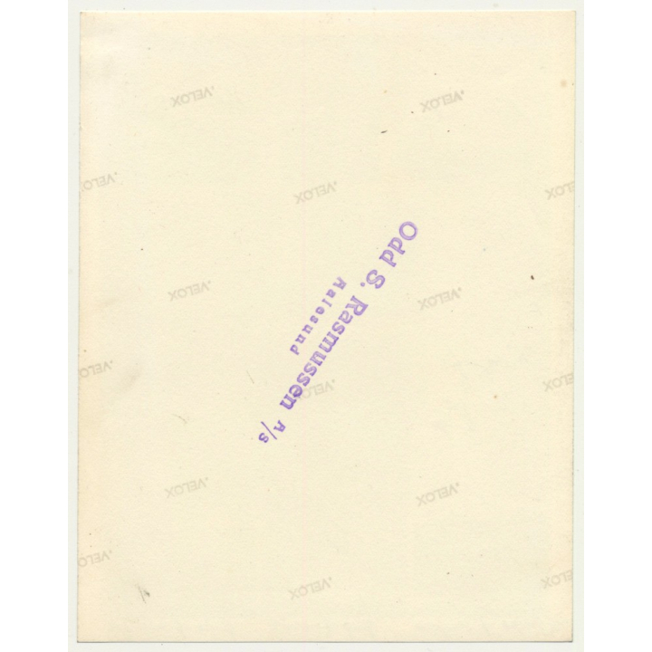 Alesund / Norway: Furrier - Silverfox - Puppy (Vintage Photo Collage ~ 1930s/1940s)