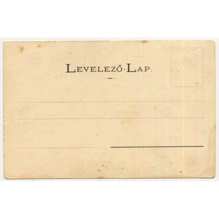 Margitliget / Hungary : View Over Resort (Vintage Postcard ~1910s)