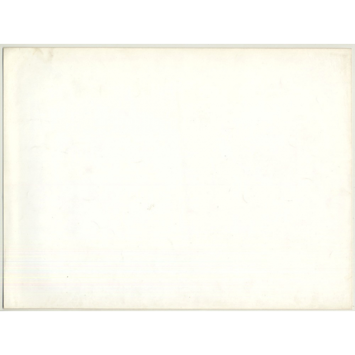 Lydia Nash / Bruxelles: Chickens On Run (Vintage Photo 1980s/1990s ~ DIN A4)