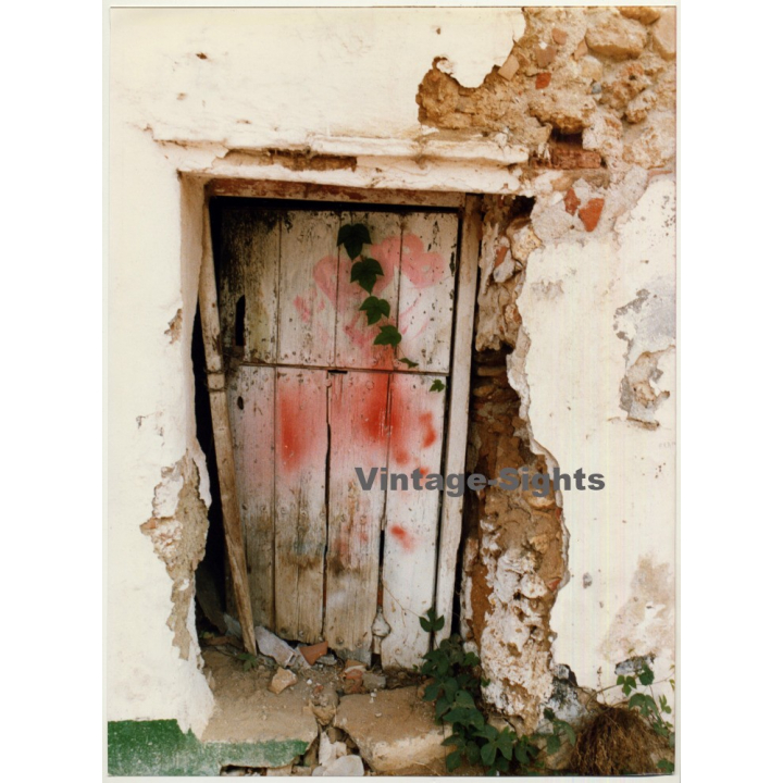 Lydia Nash / Bruxelles: Puerta Vieja Con Graffiti (Vintage Photo 1980s/1990s ~ DIN A3)