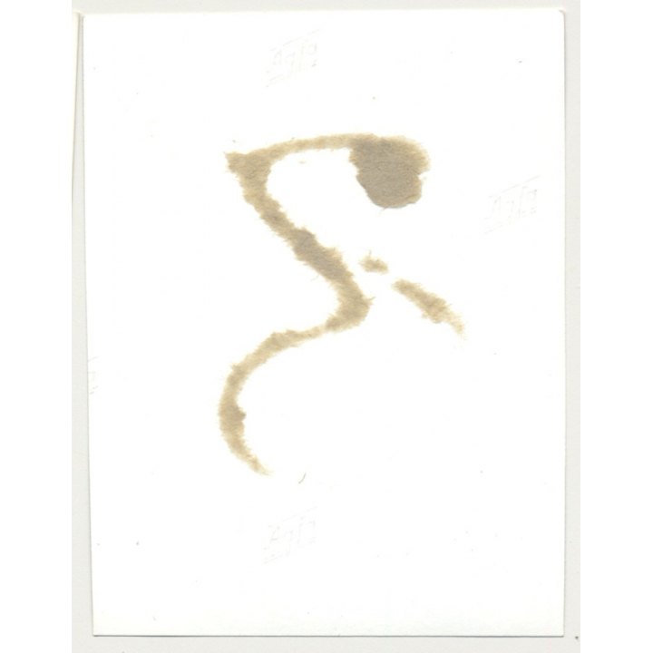 Classy Semi Nude Woman About To Pull Down Panties (Vintage Photo 1965)