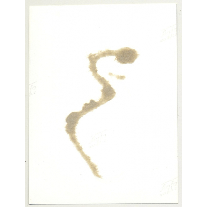 Classy Nude Woman On Carpet / Daydreaming (Vintage Photo B/W 1965)