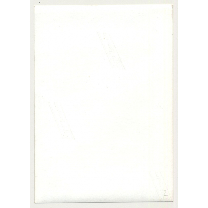 Busty Brunette Woman Holds Breasts / Hairy Armpits (Vintage Photo B/W 1950s/1960s)