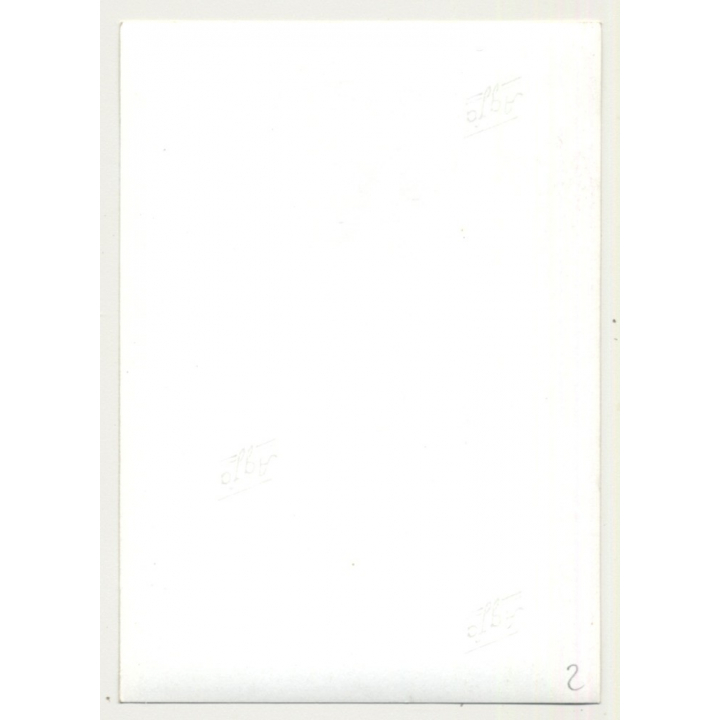 Busty Brunette Woman Holds Breasts / Hairy Armpits (Vintage Photo B/W 1950s/1960s)