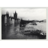 50679 Köln / Cologne - Deutzer Brücke / Bridge - View On 1982 High Water (Vintage Photo)