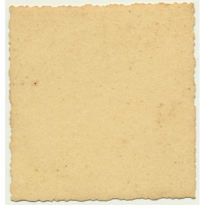 Congo Belge: Portrait Of Kolonialherr / Moustache (Vintage Photo ~ 1930s)