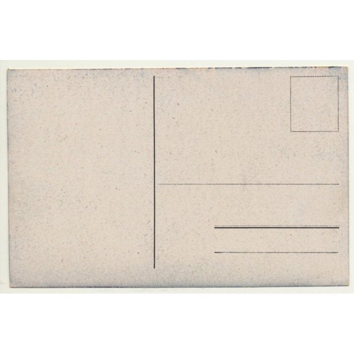 Tondern / Denmark: Abstimmungsgebiet Schleswig (Vintage Postcard ~1920s)