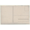 Tondern / Denmark: Abstimmungsgebiet Schleswig (Vintage Postcard ~1920s)
