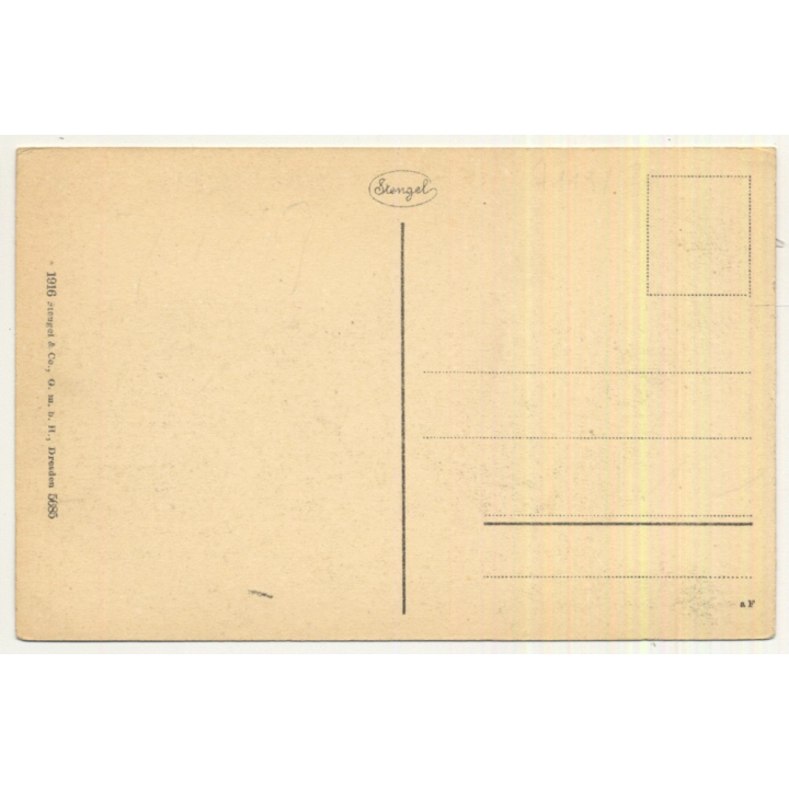 Ljubljana - Laibach / Slovenia: View Over Town (Vintage Postcard 1916)