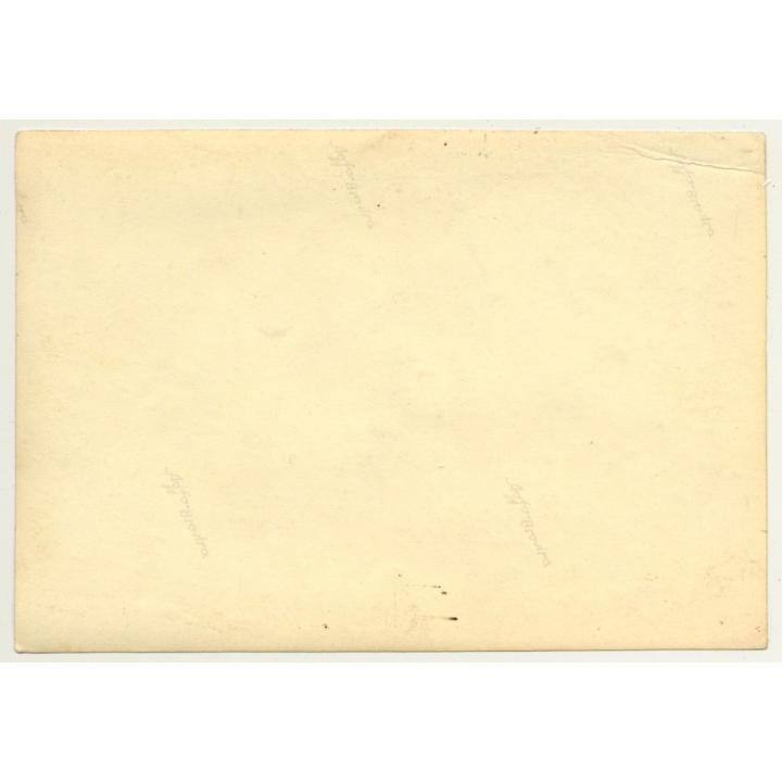 Large Group Of Pupils Doing Gymnastic Excercises / Belgium? (Vintage Photo ~1920s/1930s)