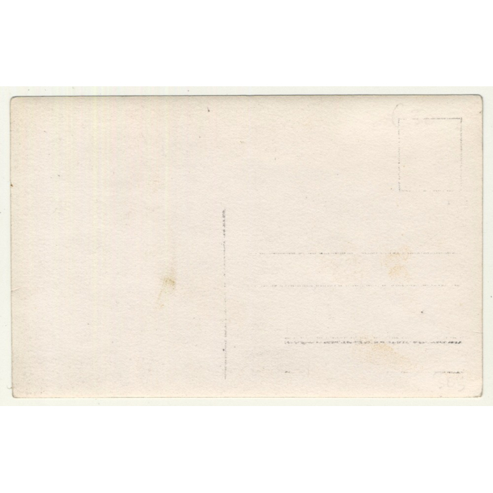 Gun Shop Exhibition: Hunting Rifles & Shotguns (Vintage RPPC Sepia ~1910s/1920s)