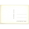 Venice / Italy: Piazzaretta San Marco / St. Marcs Square (Vintage RPPC)