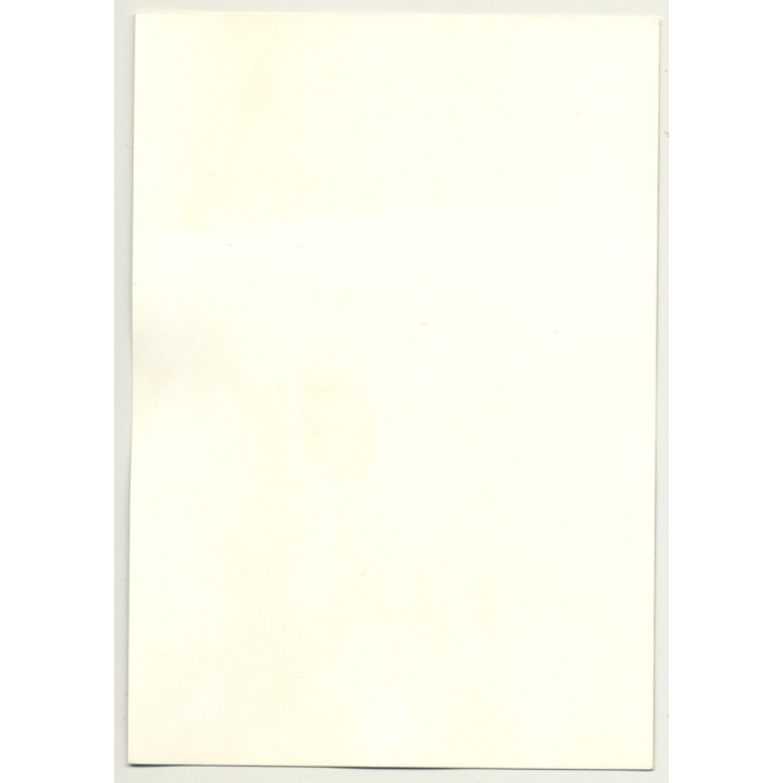 Fit Nude Blonde With Feather Boa *3 / Small Breast  (Vintage Photo GDR 1970s/1980s)