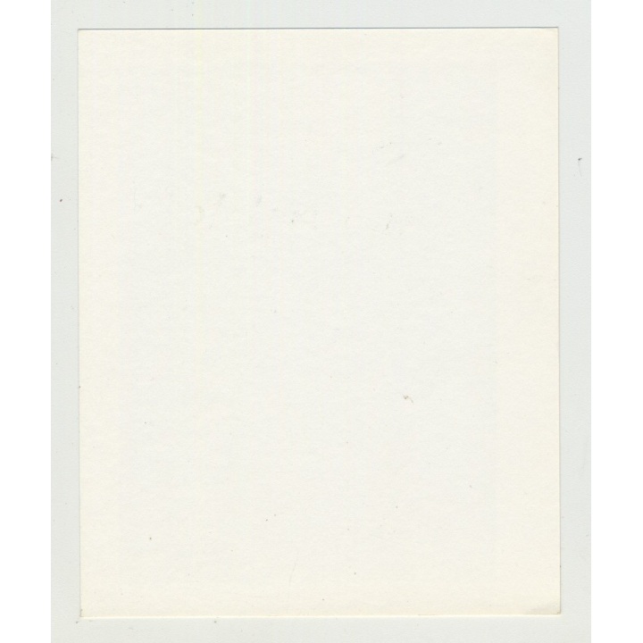 Rear View Of Bondaged Woman / Suspenders - Stockings - BDSM (Vintage Amateur Photo)