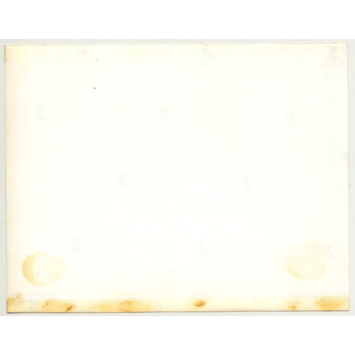 Bruxelles: Ecole Et Pensionnat De Forest / Architecture - M.Lambrichs (Vintage Photo ~1960s)