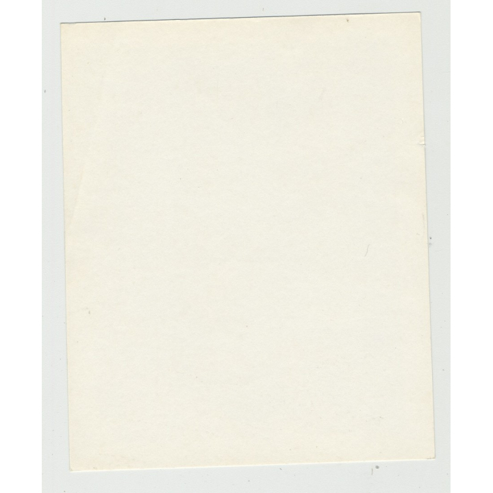 Busty Hippie Girl In Bondage / Nipples - BDSM (Vintage Amateur Photo)