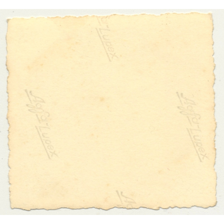 Congo-Belge: Native Men Move Large Wooden Box / Palm Tree (Vintage Photo ~1940s/1950s)