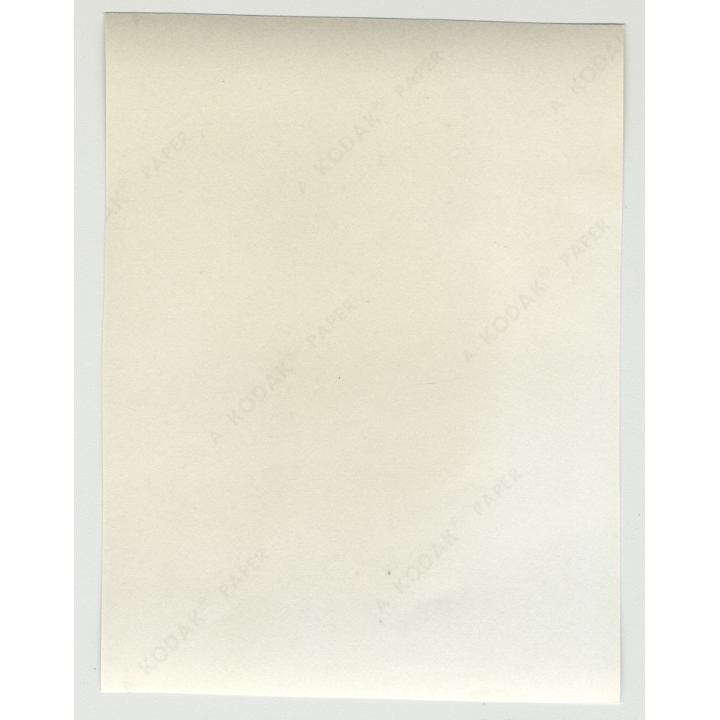 Blonde Beauty Tied On 60s Cantilever Chair / Lingerie - BDSM - 60s Interior (Vintage Amateur Photo)