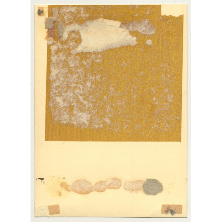 Portrait Of Pretty Young Woman (Vintage Photo Gelatin Silver ~1910s/1920s)